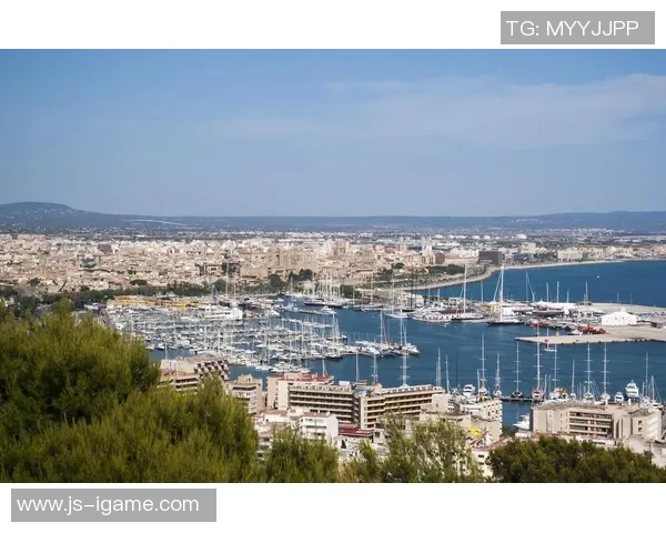 阿斯：西班牙考察帕尔马高中锋马特奥，与阿根廷争夺其代表权